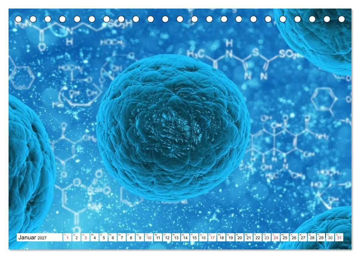 Bild: 9783569897014 | Mikrobiologie. Mikroorganismen, Genetik und Zellen (Tischkalender...