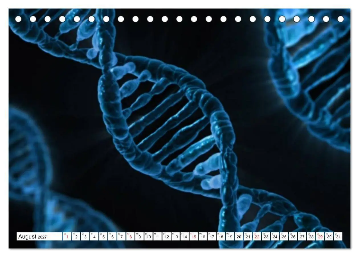Bild: 9783569897014 | Mikrobiologie. Mikroorganismen, Genetik und Zellen (Tischkalender...