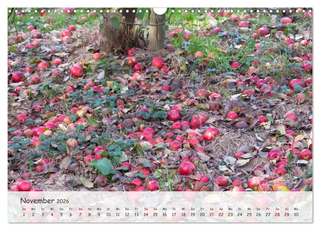 Bild: 9783457397114 | Vier Jahreszeiten - Eine Welt (Wandkalender 2026 DIN A3 quer),...