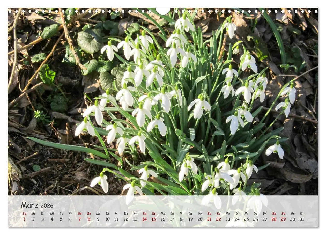 Bild: 9783457397114 | Vier Jahreszeiten - Eine Welt (Wandkalender 2026 DIN A3 quer),...