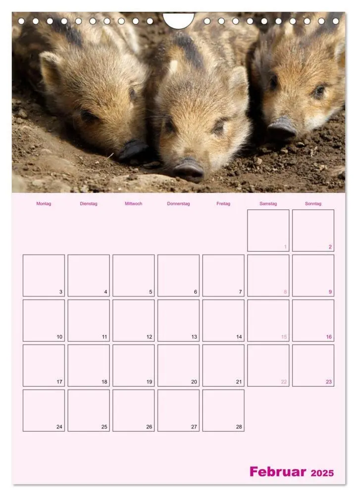 Bild: 9783457077214 | Schweinischer Terminplaner (Wandkalender 2025 DIN A4 hoch),...