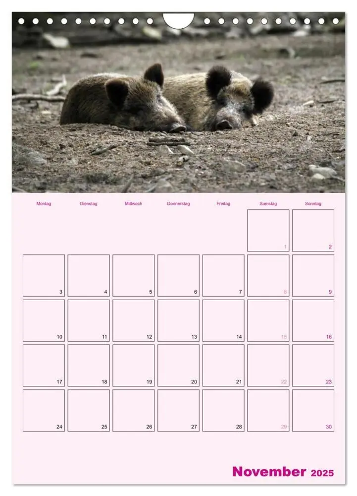 Bild: 9783457077214 | Schweinischer Terminplaner (Wandkalender 2025 DIN A4 hoch),...