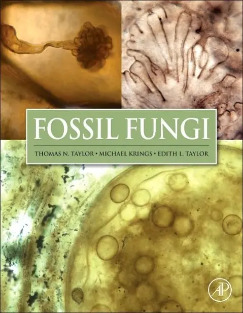Cover: 9780123877314 | Fossil Fungi | Thomas N Taylor (u. a.) | Buch | Englisch | 2014