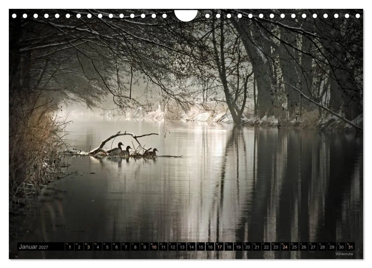 Bild: 9783594067314 | Traumlandschaften 2027 (Wandkalender 2027 DIN A4 quer), CALVENDO...