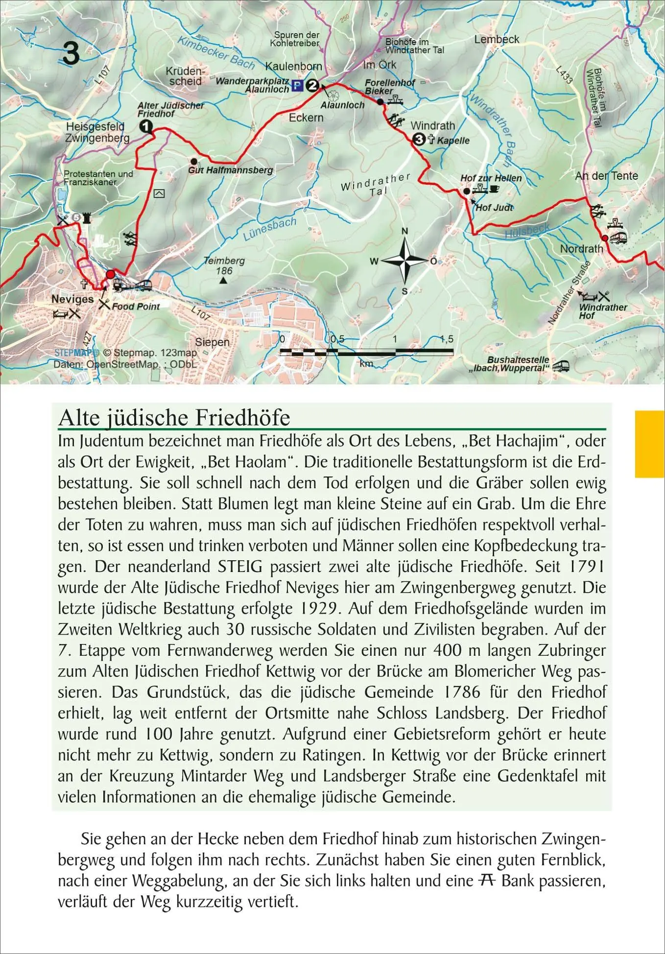 Bild: 9783866867314 | neanderland STEIG | Michael Driever | Taschenbuch | 160 S. | Deutsch