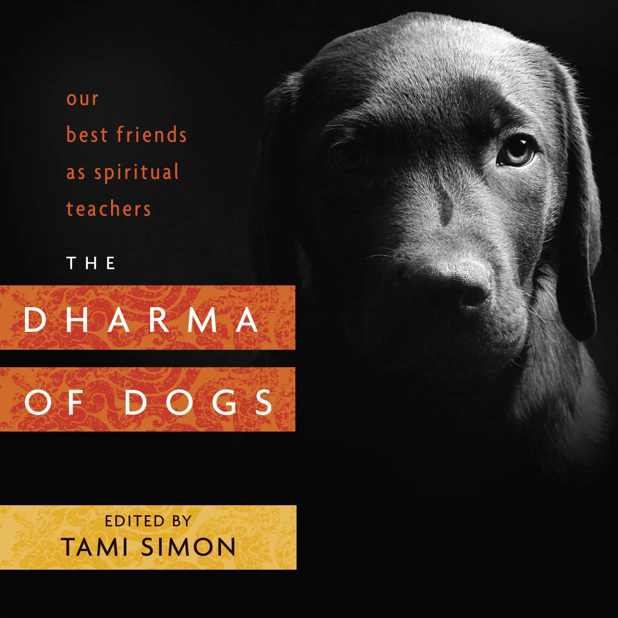 Cover: 9781622037414 | The Dharma of Dogs | Our Best Friends as Spiritual Teachers | Simon