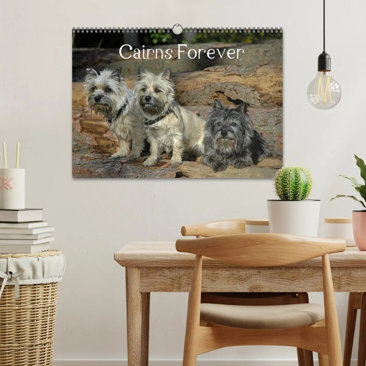 Bild: 9783457987414 | Cairns Forever (Wandkalender 2026 DIN A3 quer), CALVENDO...