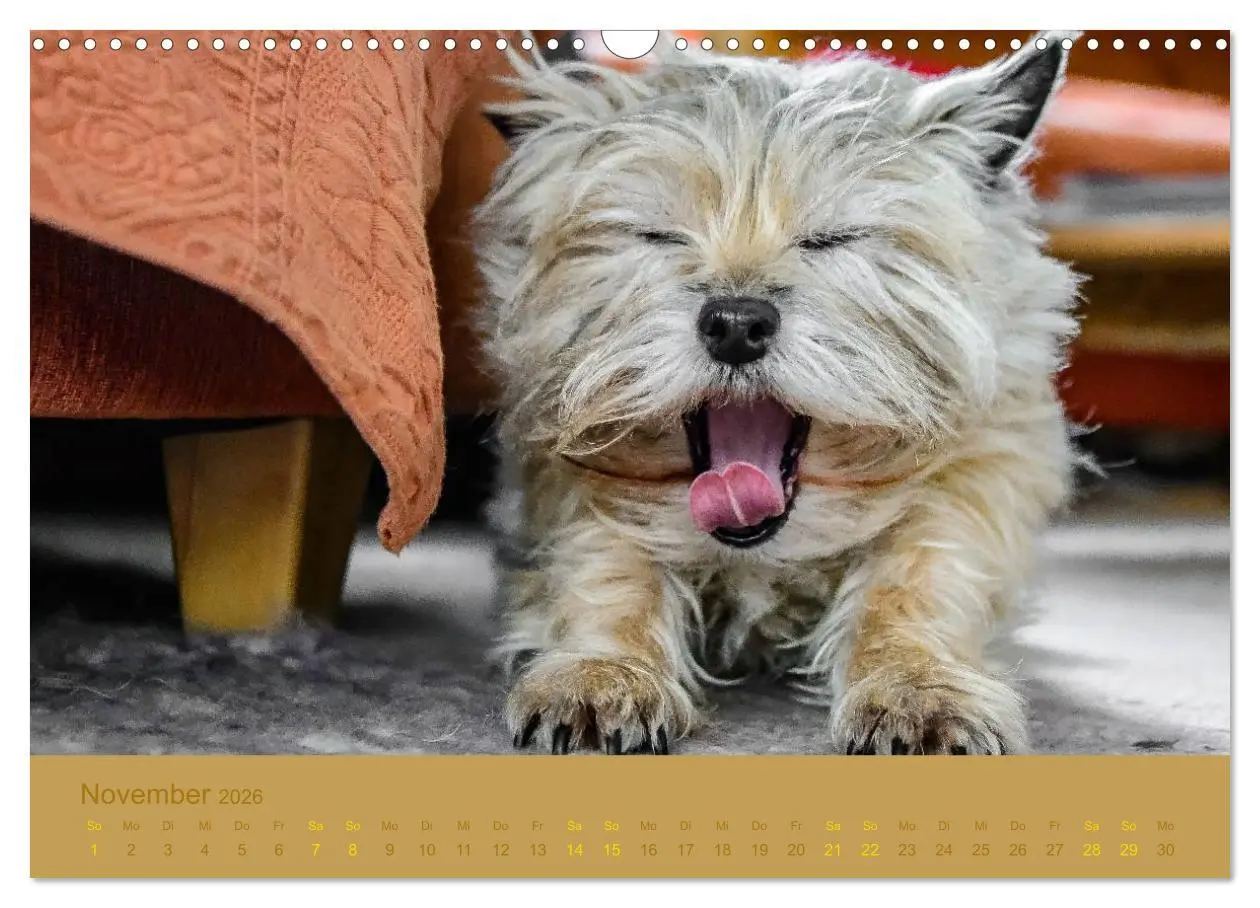 Bild: 9783457987414 | Cairns Forever (Wandkalender 2026 DIN A3 quer), CALVENDO...