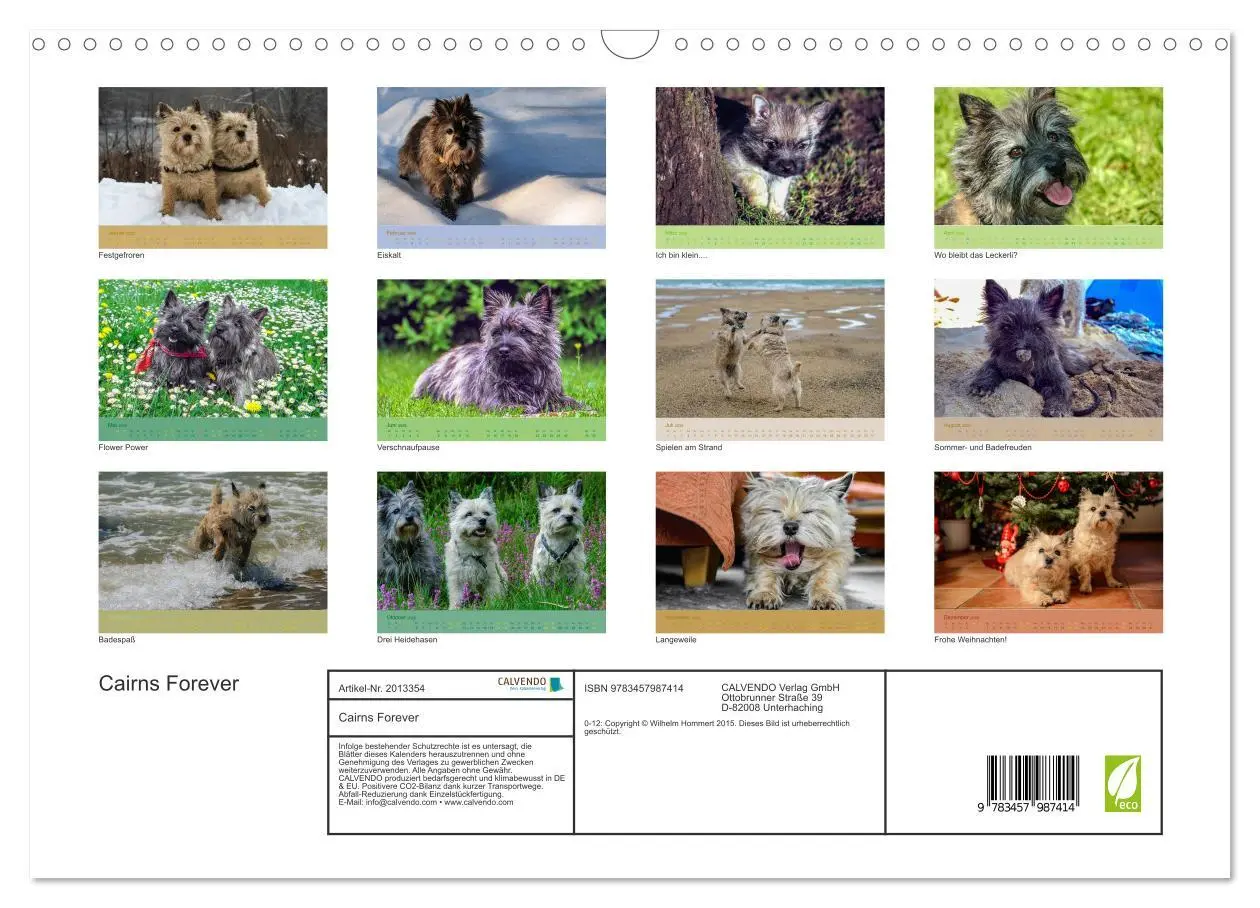 Bild: 9783457987414 | Cairns Forever (Wandkalender 2026 DIN A3 quer), CALVENDO...