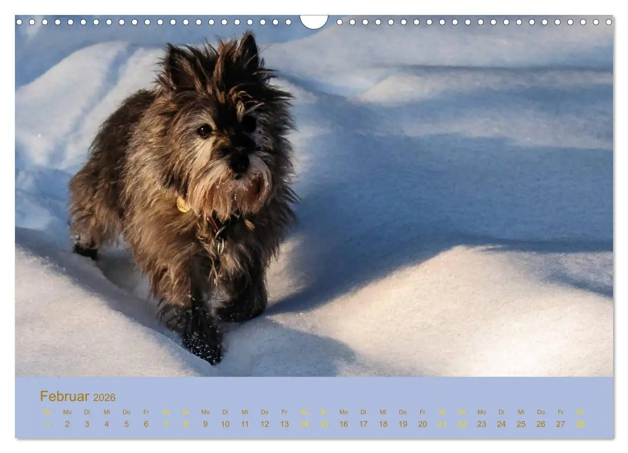 Bild: 9783457987414 | Cairns Forever (Wandkalender 2026 DIN A3 quer), CALVENDO...