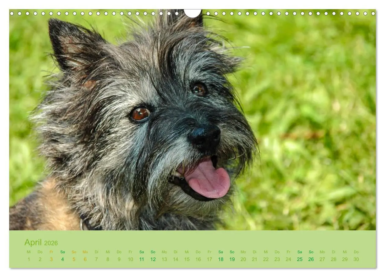 Bild: 9783457987414 | Cairns Forever (Wandkalender 2026 DIN A3 quer), CALVENDO...