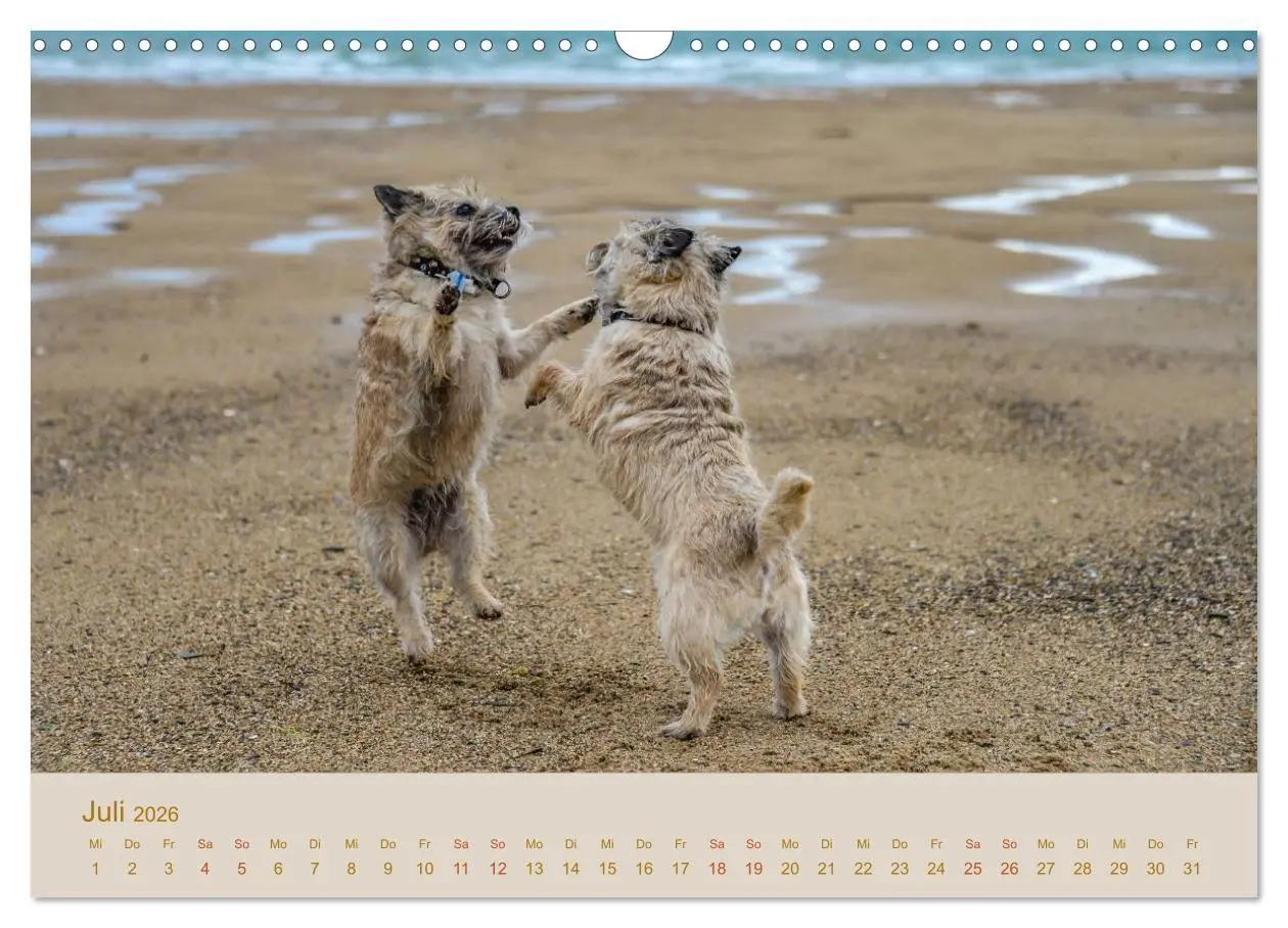 Bild: 9783457987414 | Cairns Forever (Wandkalender 2026 DIN A3 quer), CALVENDO...