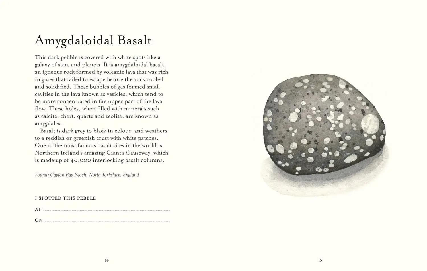 Bild: 9781911657514 | The Pebble Spotter's Guide - National Trust Edition | Mitchell (u. a.)