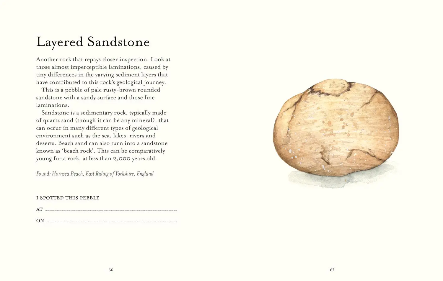 Bild: 9781911657514 | The Pebble Spotter's Guide - National Trust Edition | Mitchell (u. a.)