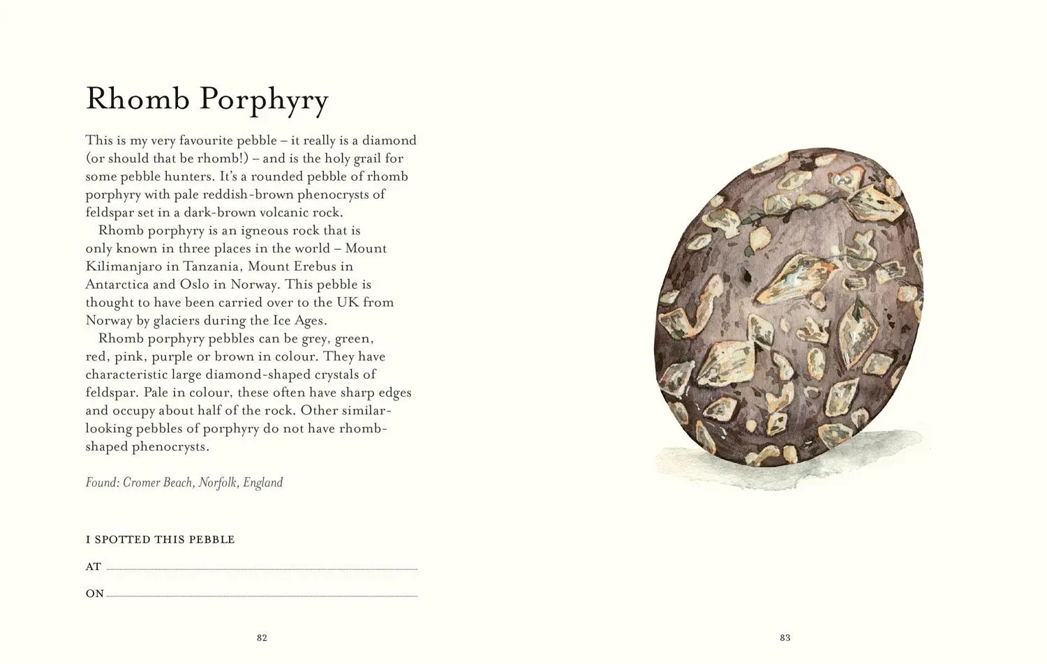 Bild: 9781911657514 | The Pebble Spotter's Guide - National Trust Edition | Mitchell (u. a.)