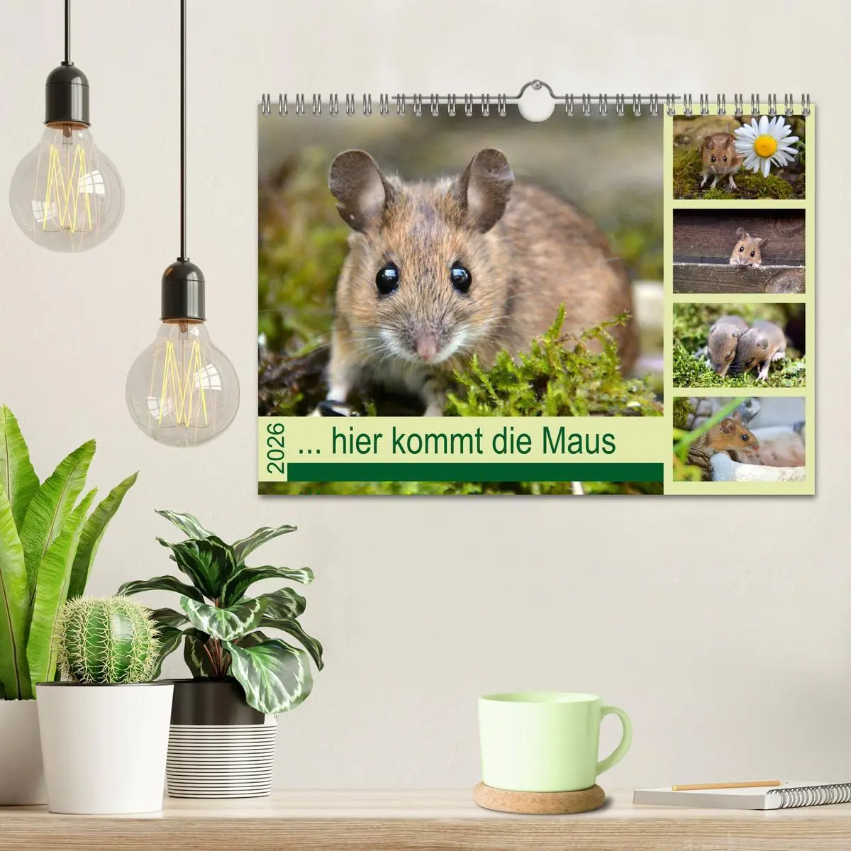 Bild: 9783457807514 | ... hier kommt die Maus ... (Wandkalender 2026 DIN A4 quer),...