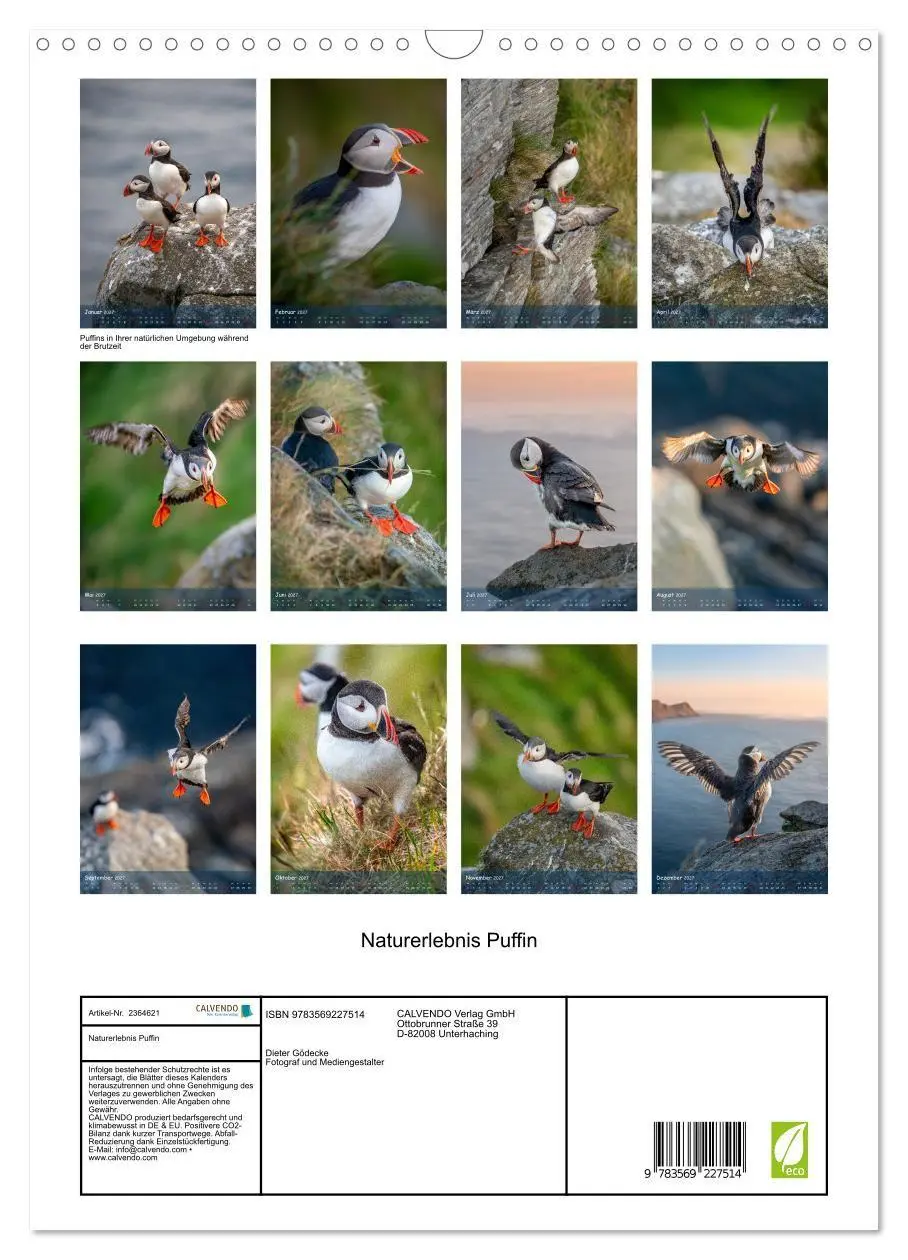 Bild: 9783569227514 | Naturerlebnis Puffin (Wandkalender 2027 DIN A3 hoch), CALVENDO...