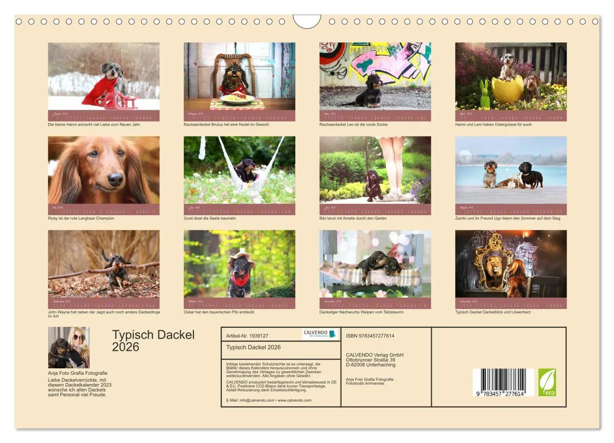 Bild: 9783457277614 | Typisch Dackel 2026 (Wandkalender 2026 DIN A3 quer), CALVENDO...