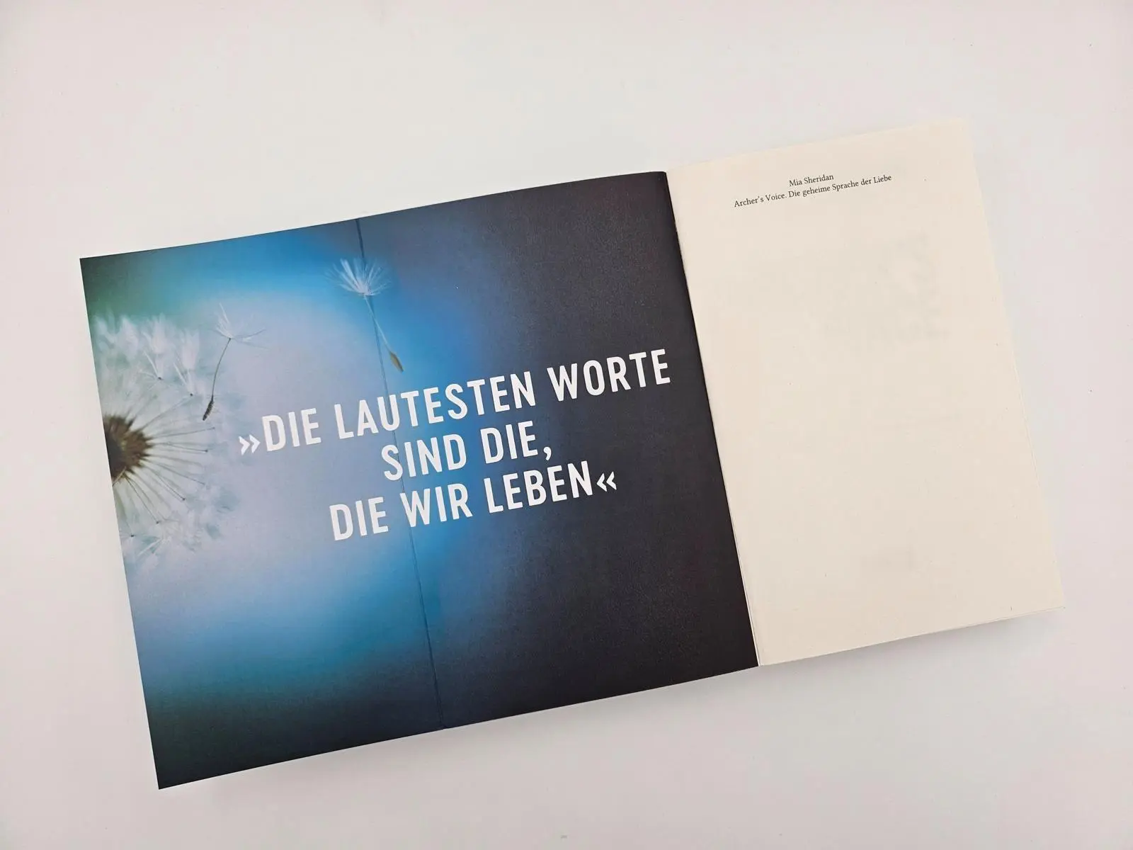 Bild: 9783492067614 | Archer's Voice. Die geheime Sprache der Liebe | Mia Sheridan | Buch