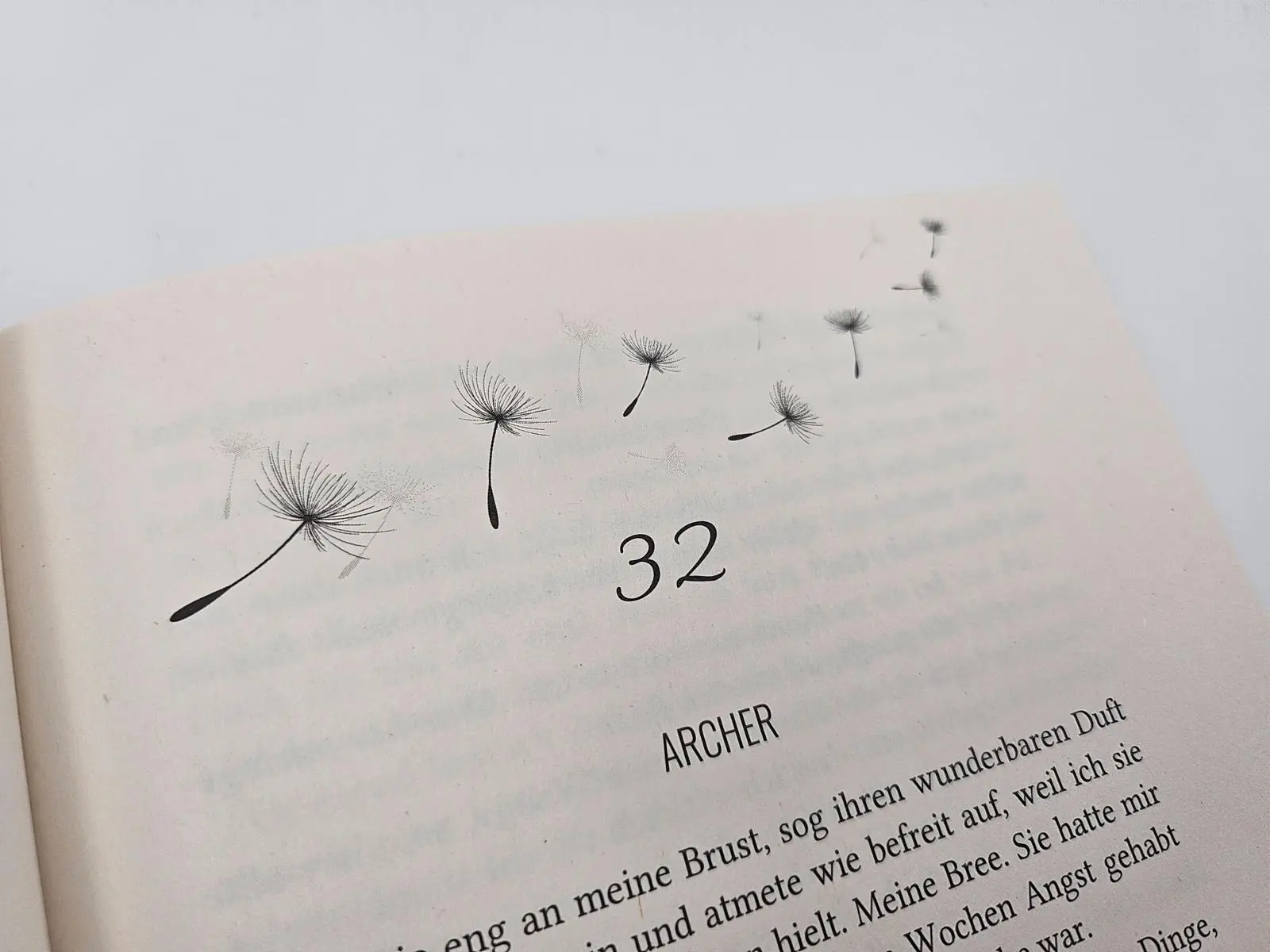 Bild: 9783492067614 | Archer's Voice. Die geheime Sprache der Liebe | Mia Sheridan | Buch