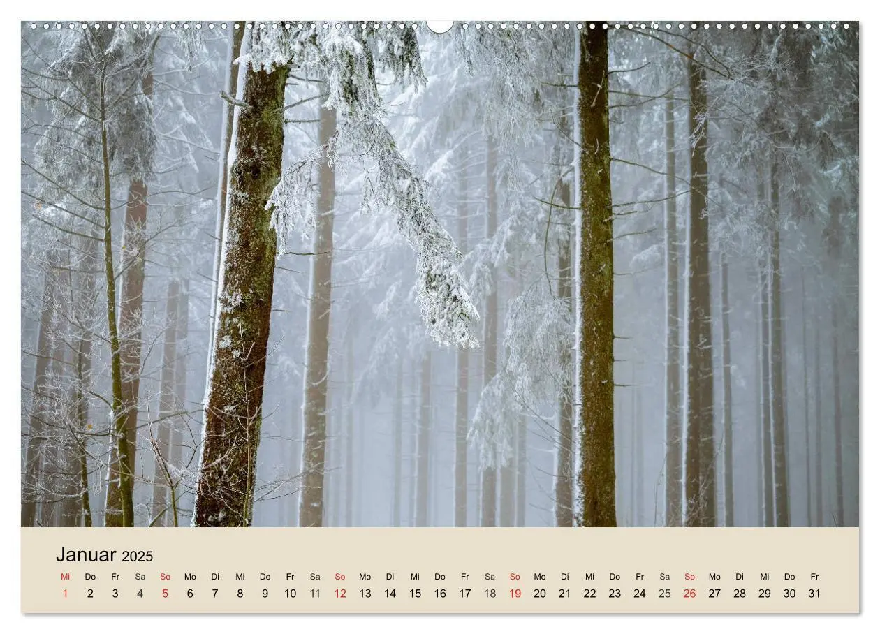 Bild: 9783435317714 | Der Wald. Durch zauberhafte Waldlandschaften (Wandkalender 2025 DIN...