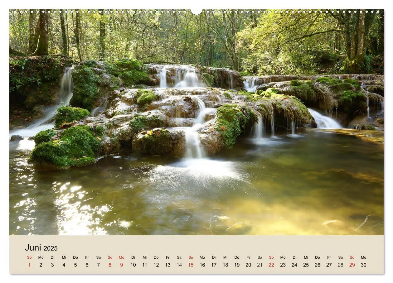 Bild: 9783435317714 | Der Wald. Durch zauberhafte Waldlandschaften (Wandkalender 2025 DIN...