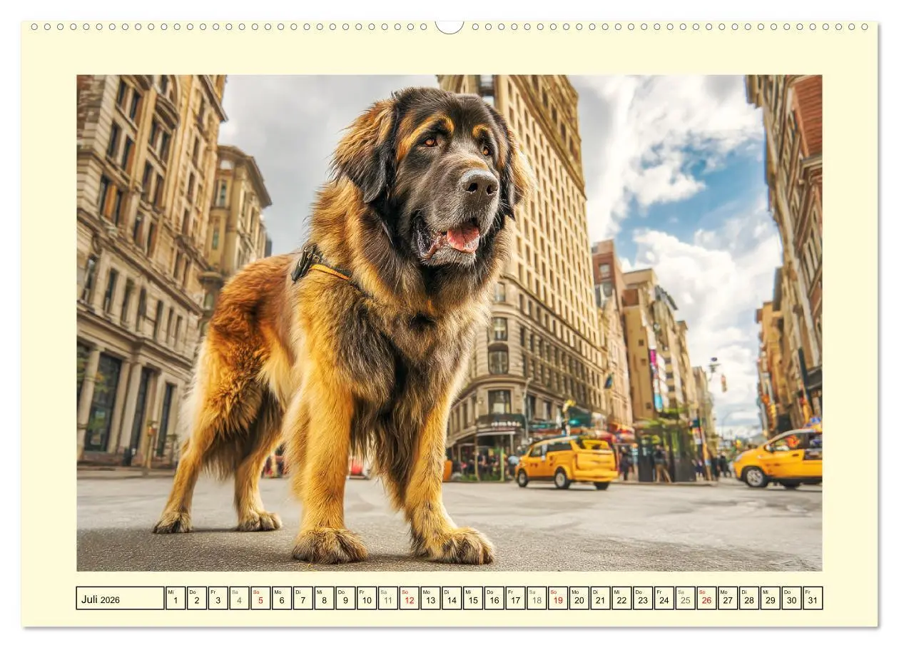 Bild: 9783457647714 | Der Leonberger. Majestätische Löwenhunde im Licht der Natur...