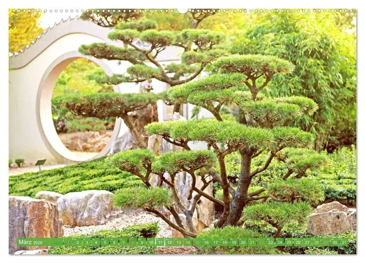 Bild: 9783516597714 | Meditationen im Zen-Garten (hochwertiger Premium Wandkalender 2026...