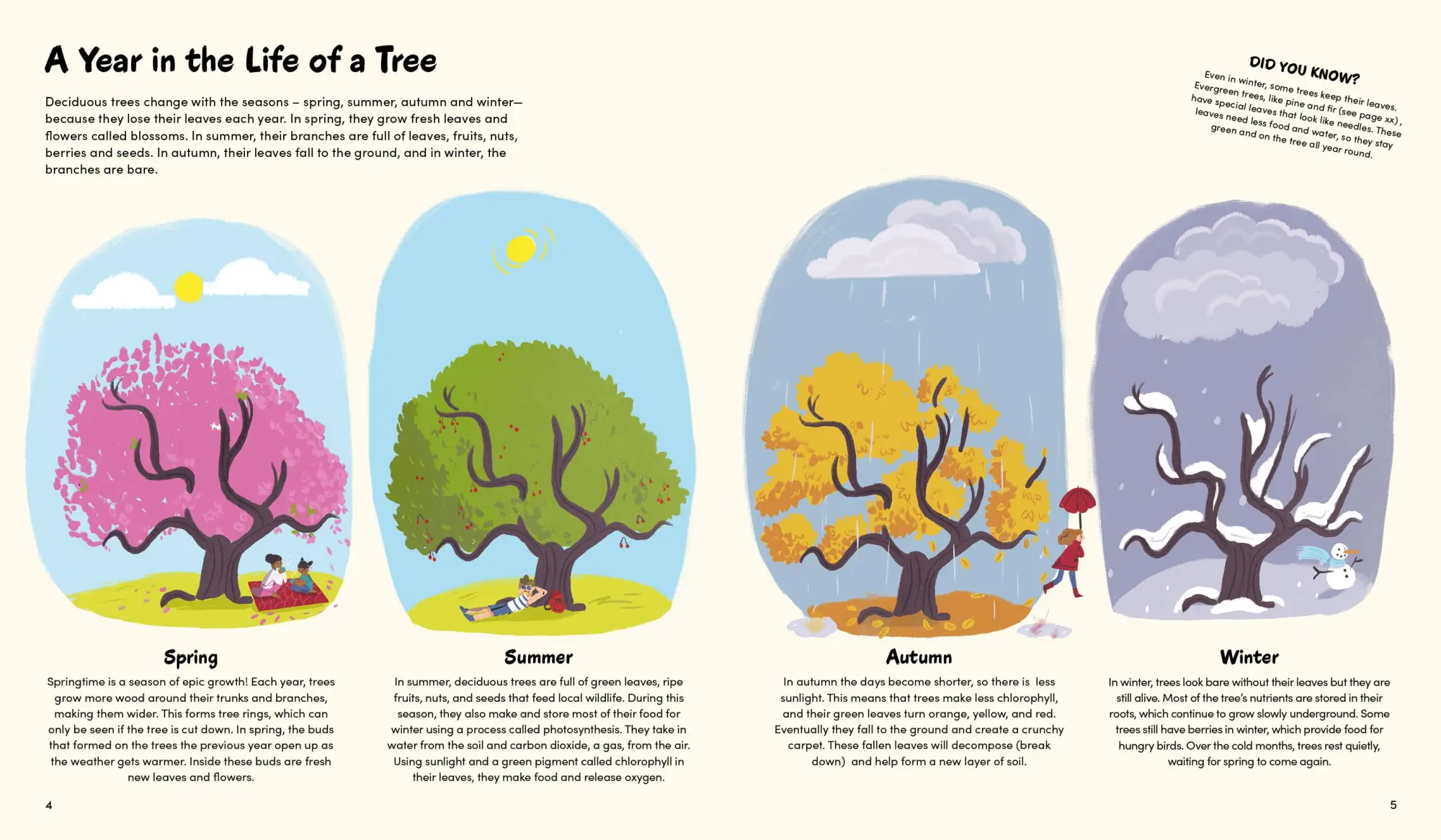 Bild: 9783967047714 | The Little Book of Trees | Claire Philip | Buch | 48 S. | Spanisch