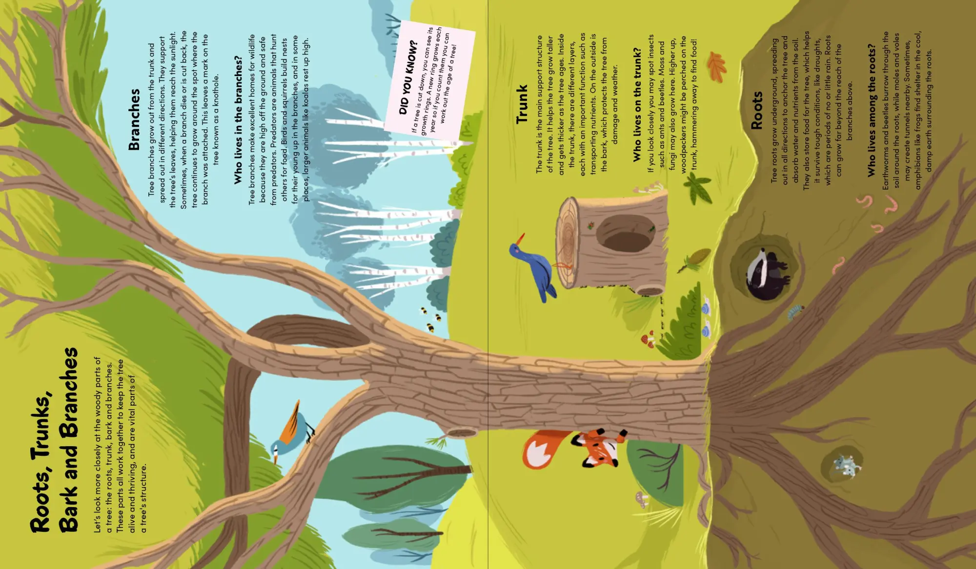 Bild: 9783967047714 | The Little Book of Trees | Claire Philip | Buch | 48 S. | Spanisch