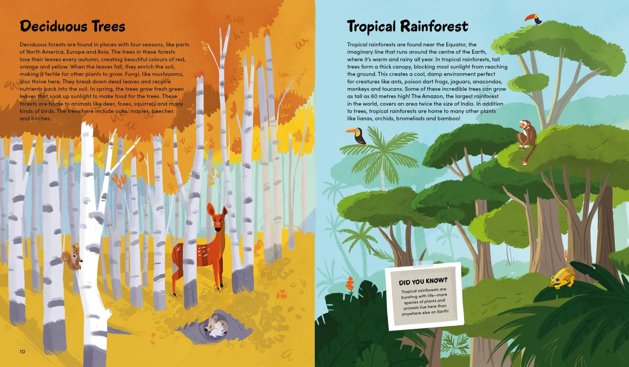 Bild: 9783967047714 | The Little Book of Trees | Claire Philip | Buch | 48 S. | Spanisch