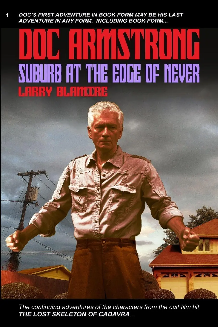 Cover: 9780692637814 | Doc Armstrong | Suburb at the Edge of Never | Larry Blamire | Buch