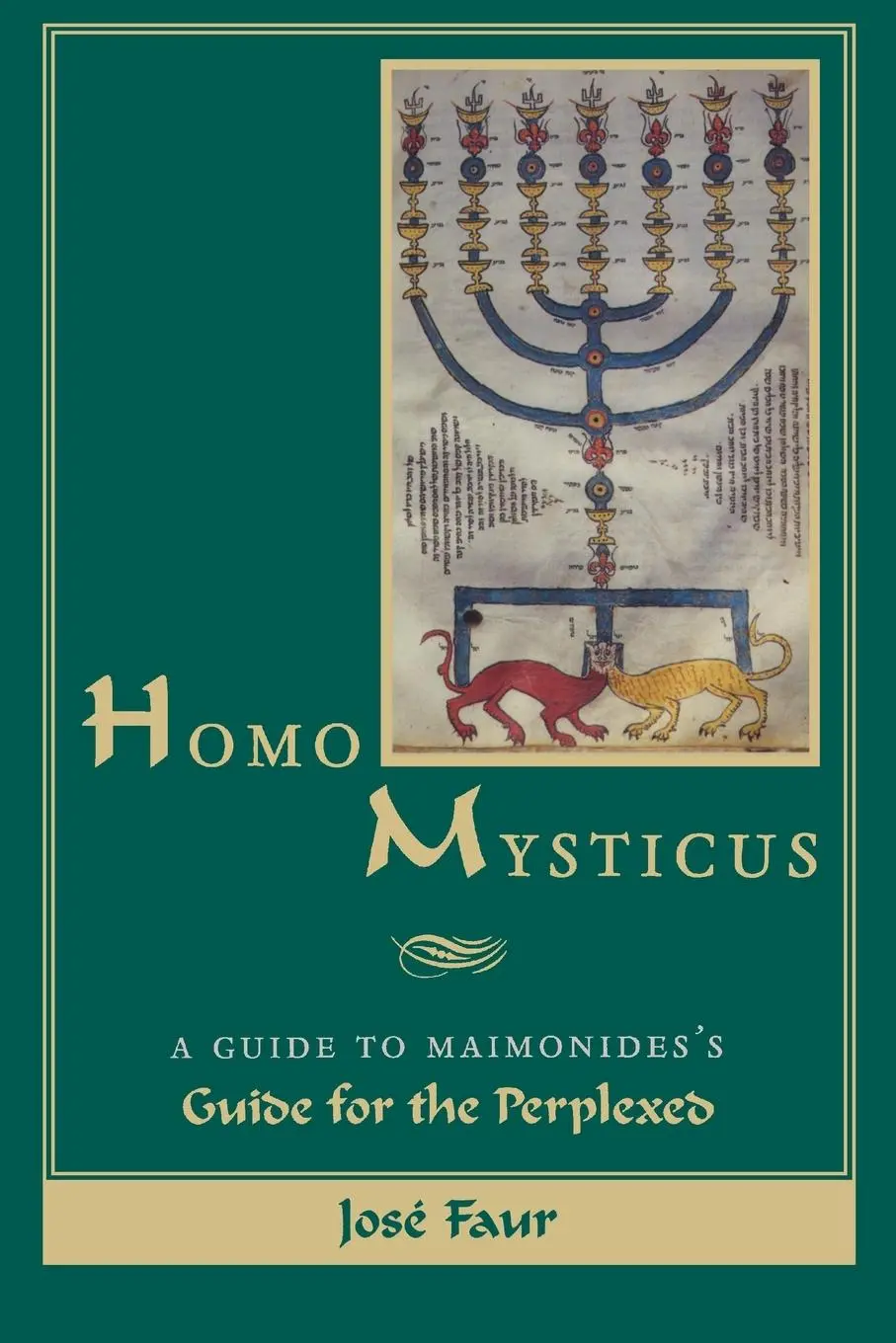 Cover: 9780815627814 | Homo Mysticus | A Guide to Maimonides's Guide for the Perplexed | Faur