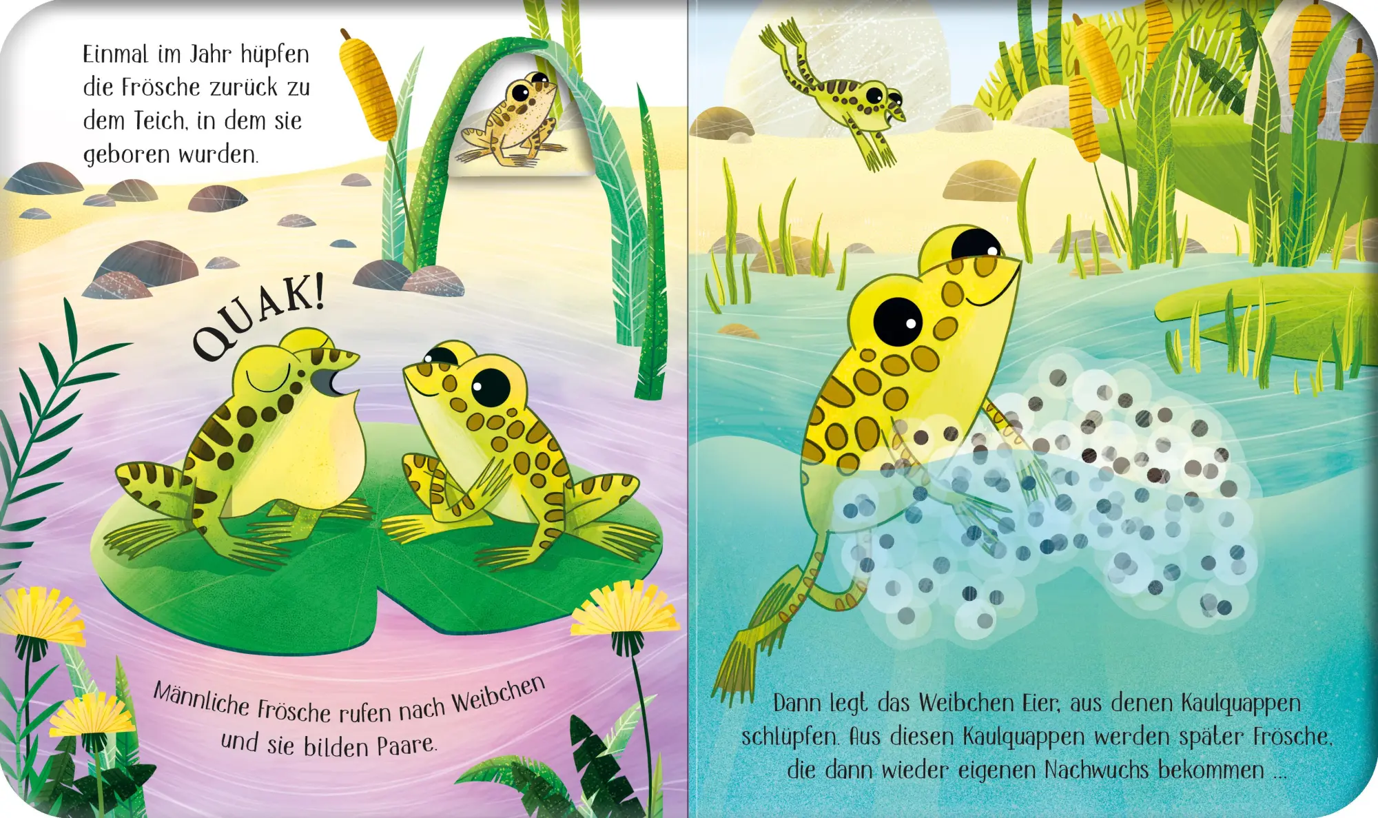 Bild: 9781789417814 | Schau mal, wie ich wachse! Vom Laich zum Frosch | Lesley Sims | Buch