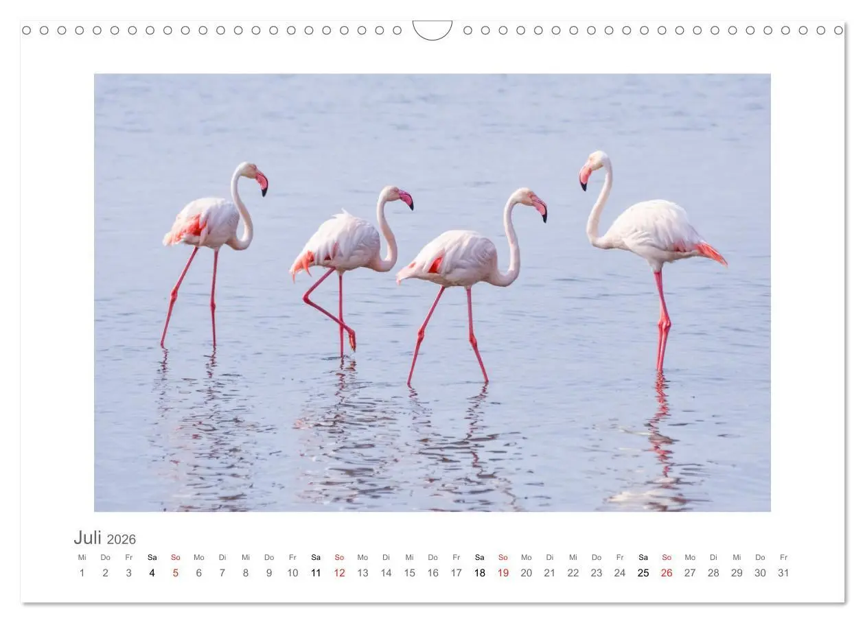 Bild: 9783457637814 | Namibia - unterwegs mit Julia Hahn (Wandkalender 2026 DIN A3 quer),...