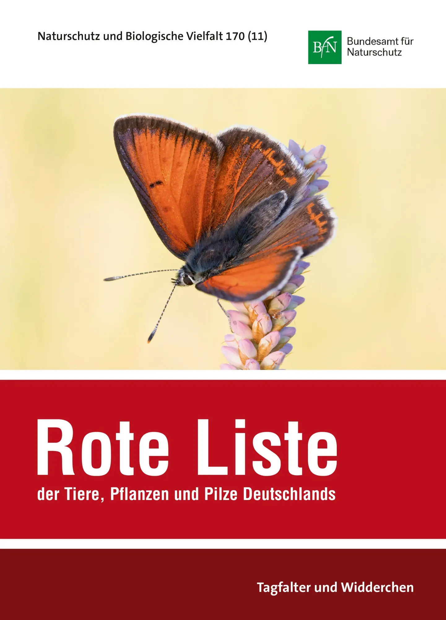 Cover: 9783784337814 | NaBiV Heft 170/11: Rote Liste und Gesamtartenliste der Tagfalter...