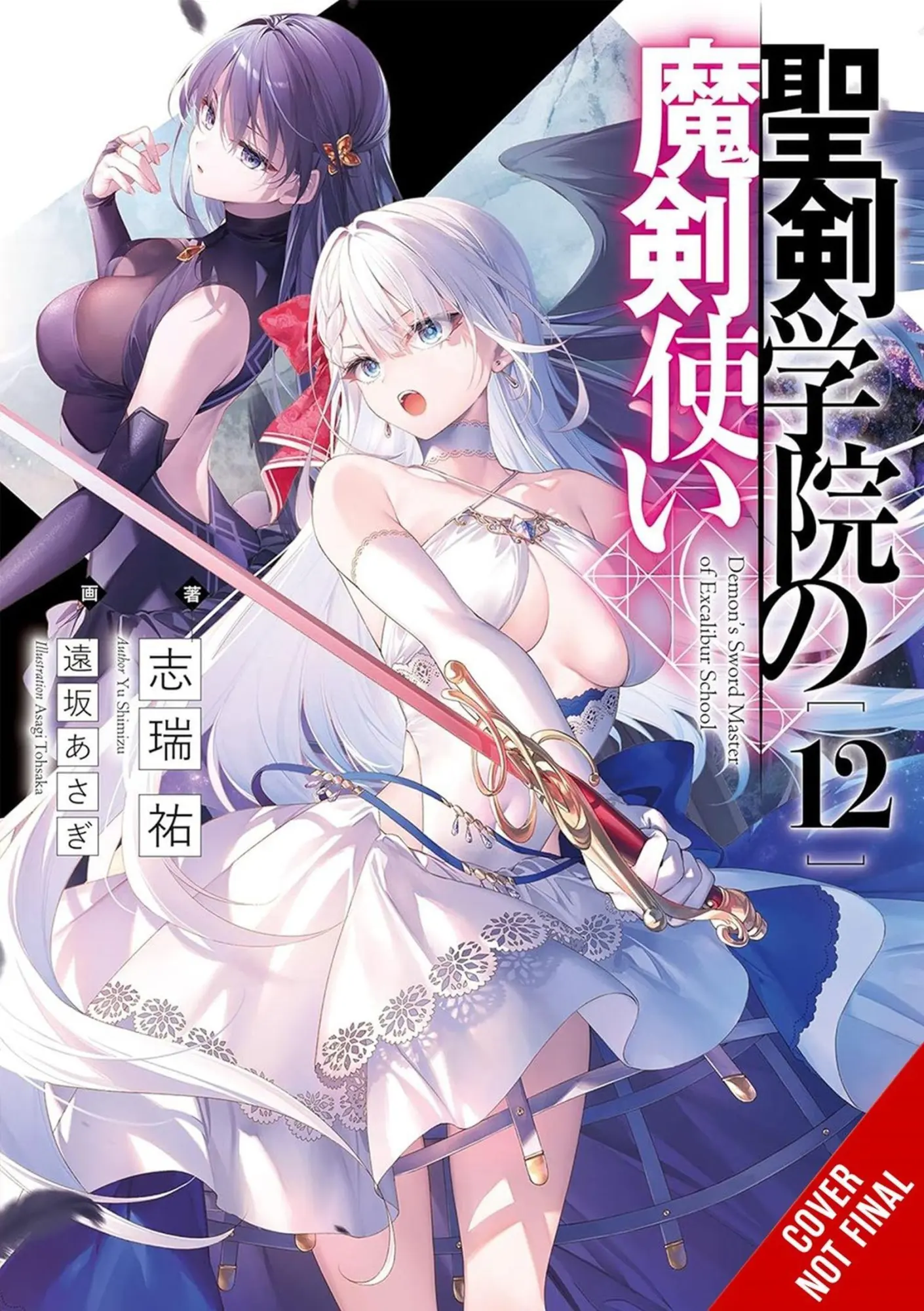 Cover: 9781975387914 | The Demon Sword Master of Excalibur Academy, Vol. 12 (light novel)