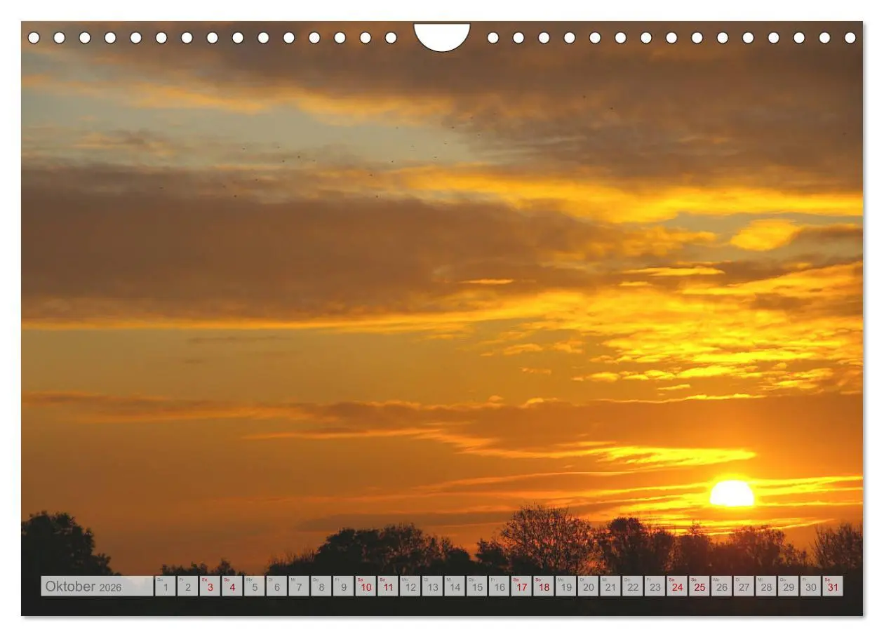 Bild: 9783457937914 | Natur-Paradies Mecklenburgische Schweiz (Wandkalender 2026 DIN A4...