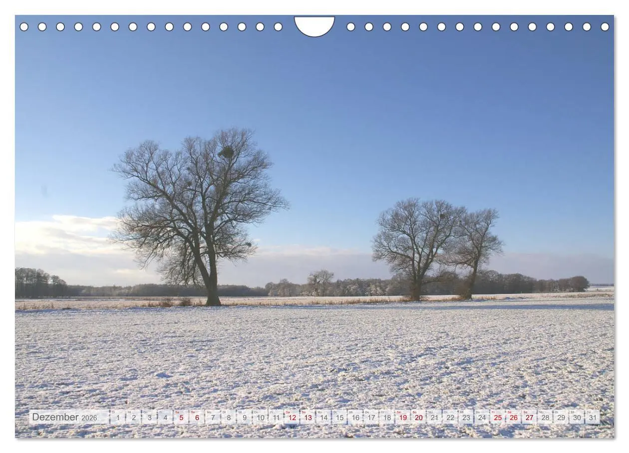 Bild: 9783457937914 | Natur-Paradies Mecklenburgische Schweiz (Wandkalender 2026 DIN A4...
