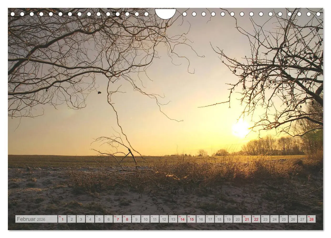 Bild: 9783457937914 | Natur-Paradies Mecklenburgische Schweiz (Wandkalender 2026 DIN A4...