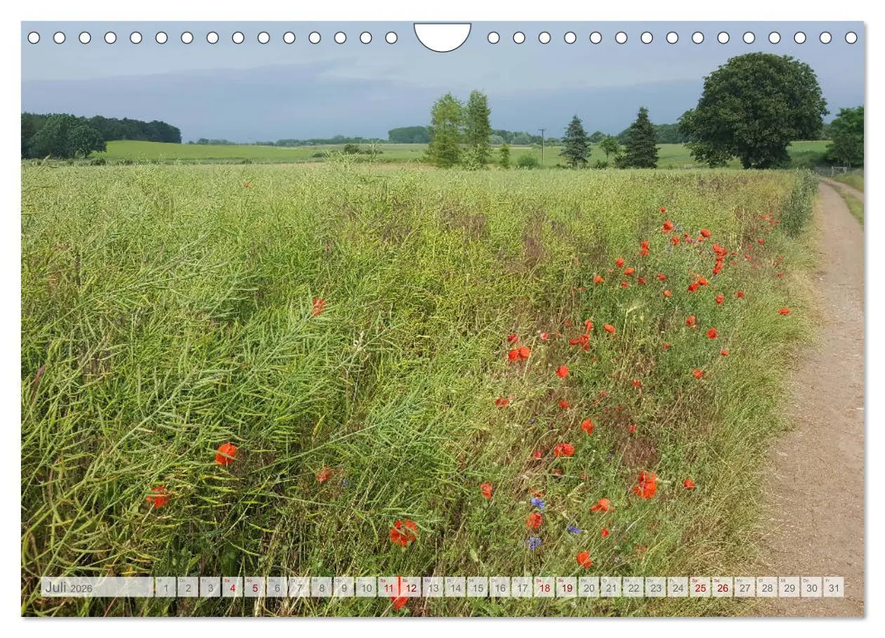 Bild: 9783457937914 | Natur-Paradies Mecklenburgische Schweiz (Wandkalender 2026 DIN A4...