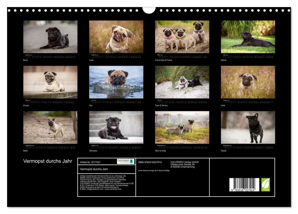 Bild: 9783516027914 | Vermopst durchs Jahr (Wandkalender 2026 DIN A3 quer), CALVENDO...