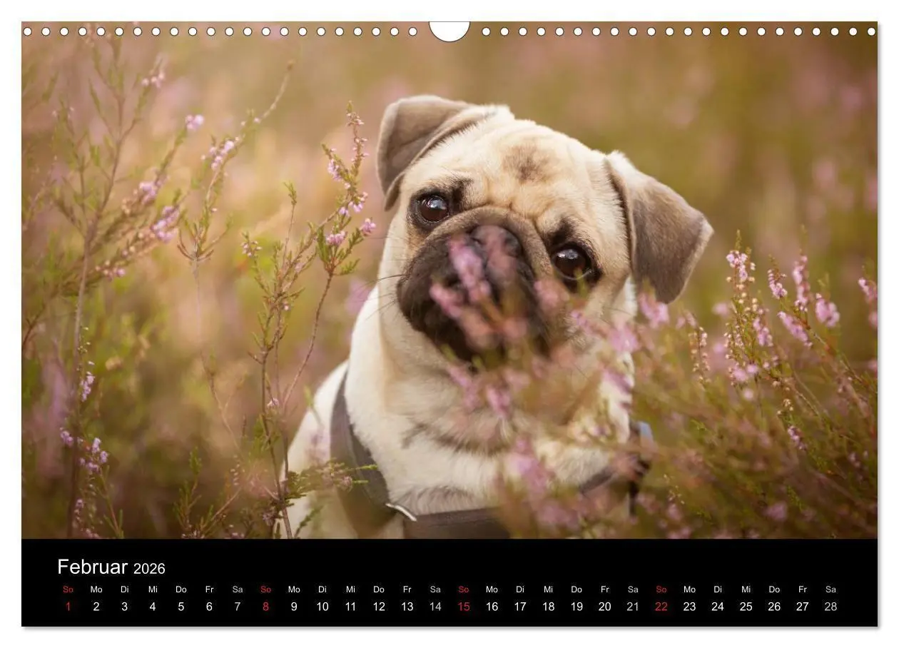 Bild: 9783516027914 | Vermopst durchs Jahr (Wandkalender 2026 DIN A3 quer), CALVENDO...