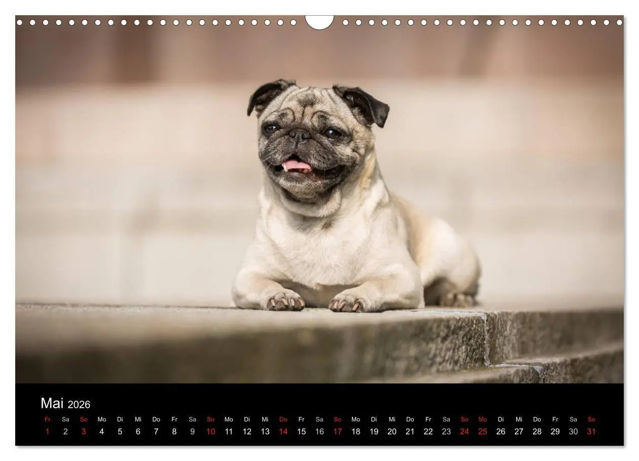 Bild: 9783516027914 | Vermopst durchs Jahr (Wandkalender 2026 DIN A3 quer), CALVENDO...
