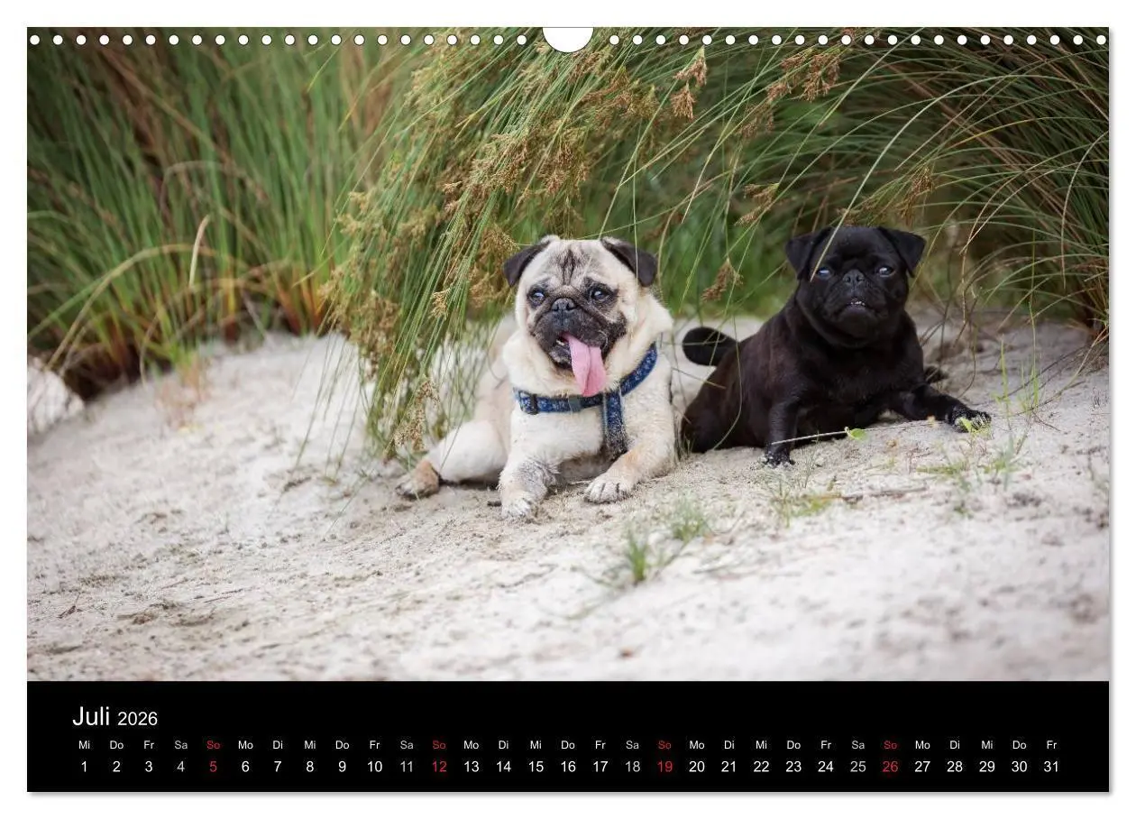 Bild: 9783516027914 | Vermopst durchs Jahr (Wandkalender 2026 DIN A3 quer), CALVENDO...