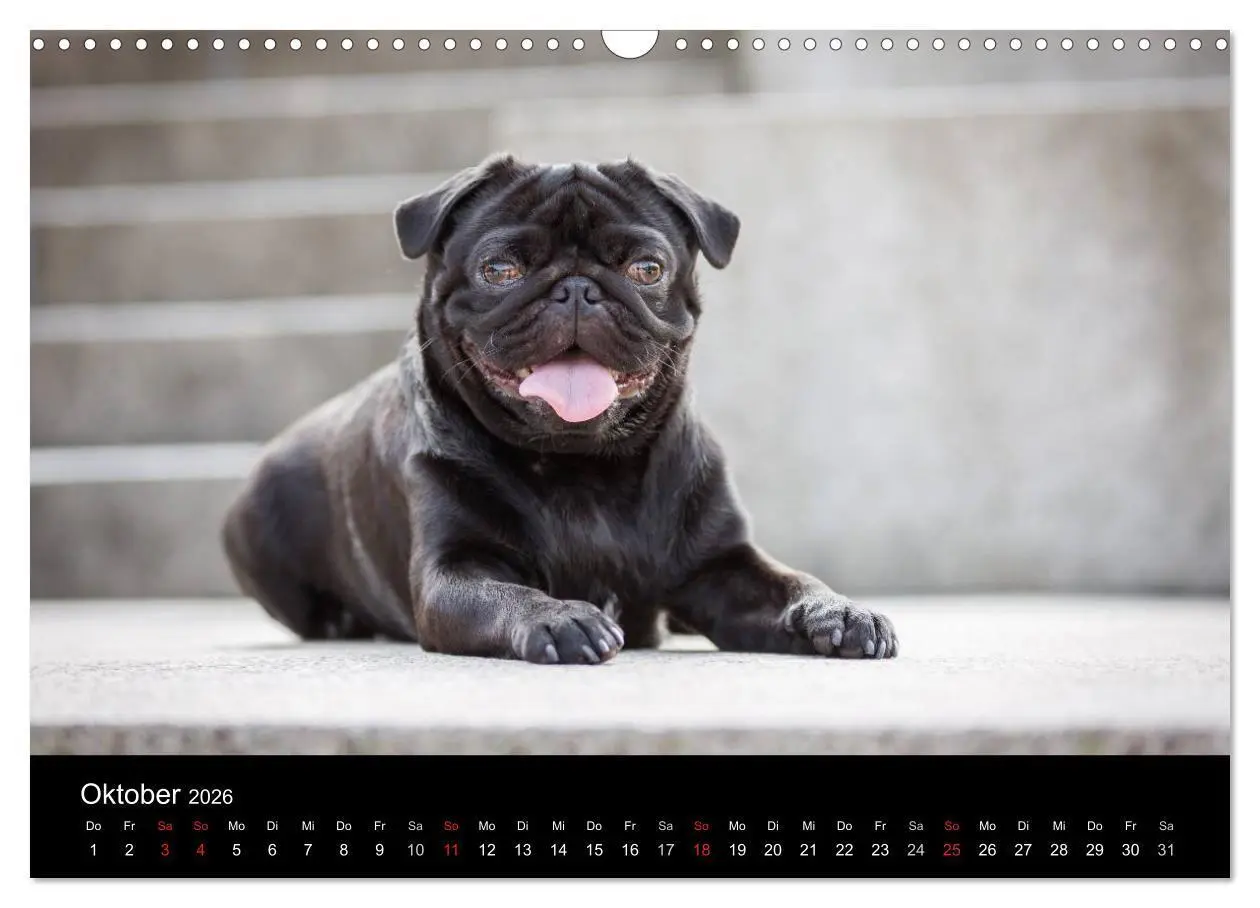 Bild: 9783516027914 | Vermopst durchs Jahr (Wandkalender 2026 DIN A3 quer), CALVENDO...