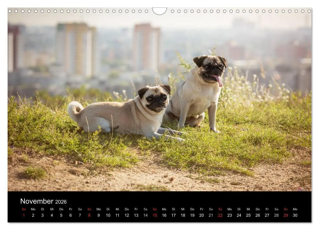 Bild: 9783516027914 | Vermopst durchs Jahr (Wandkalender 2026 DIN A3 quer), CALVENDO...