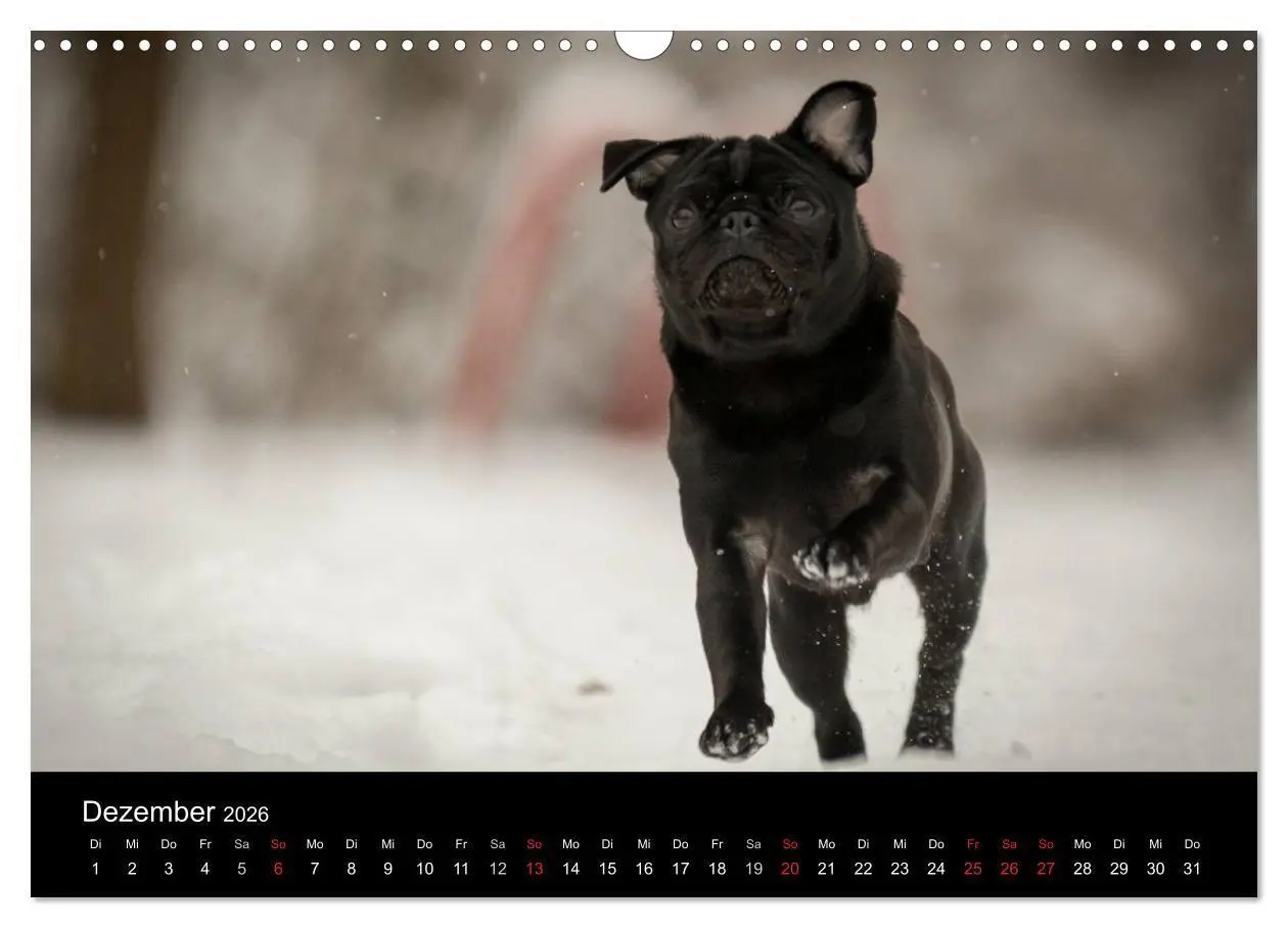 Bild: 9783516027914 | Vermopst durchs Jahr (Wandkalender 2026 DIN A3 quer), CALVENDO...