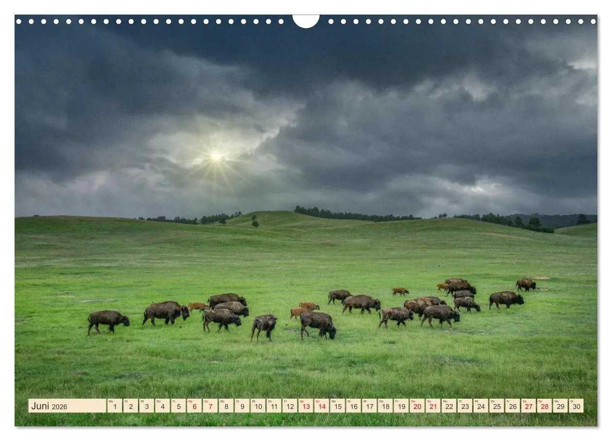 Bild: 9783457378014 | Sioux Im Lande von Sitting Bull (Wandkalender 2026 DIN A3 quer),...