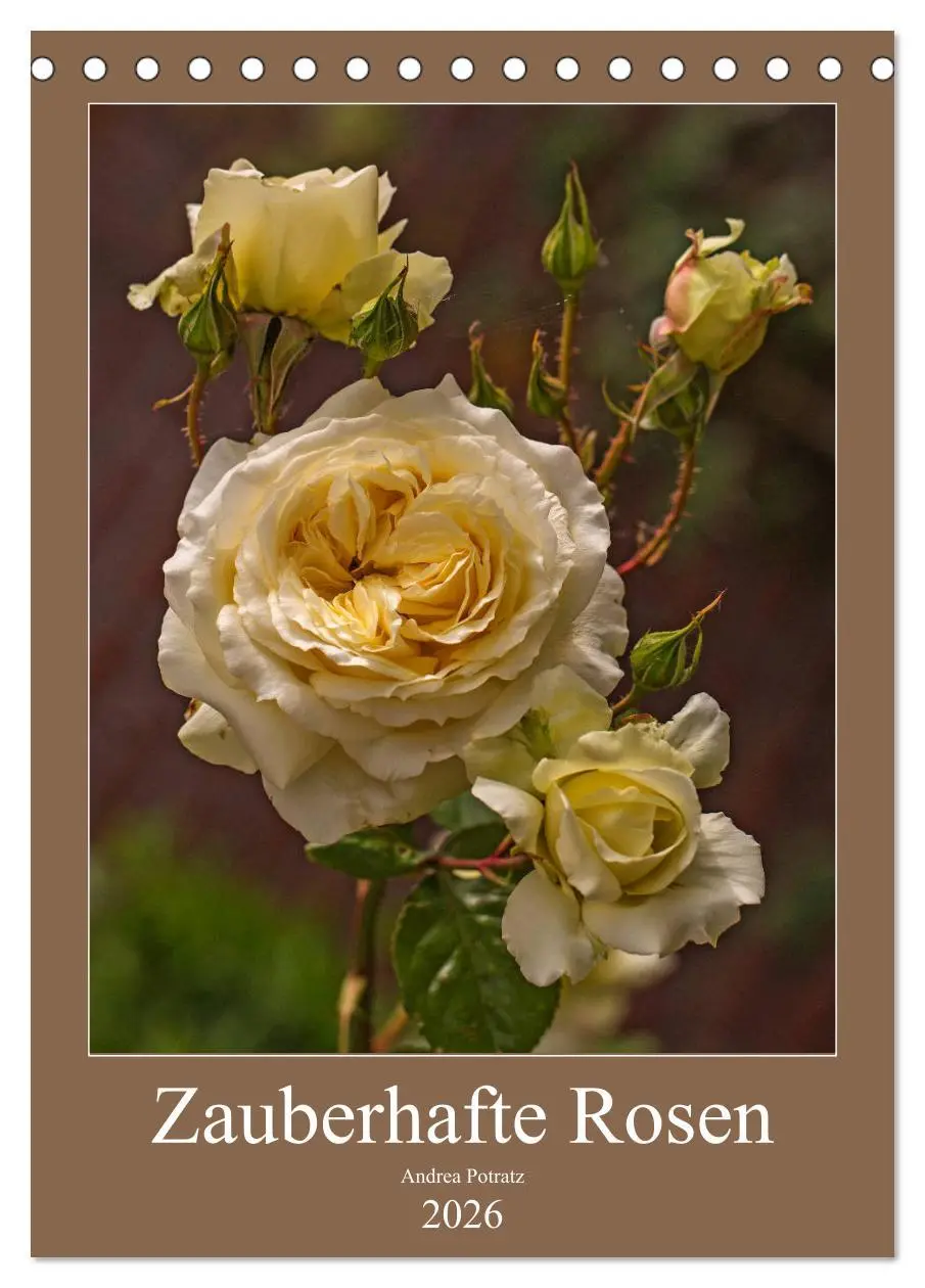 Cover: 9783516468014 | Zauberhafte Rosen (Tischkalender 2026 DIN A5 hoch), CALVENDO...